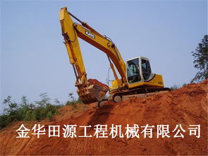 武义县微型挖掘机培训技术 了解咨询