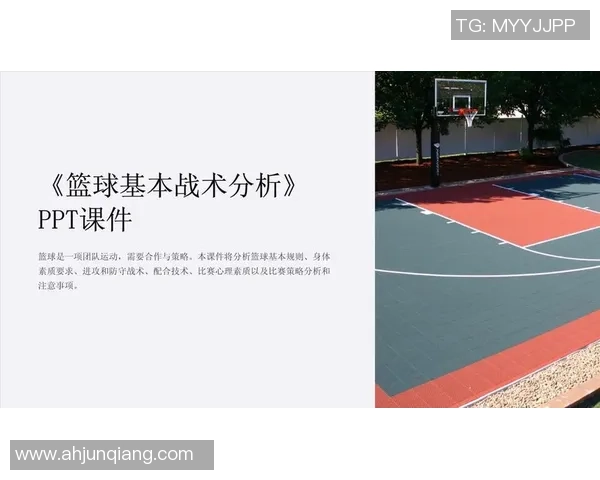 深入分析成都篮球队独特的防守策略与战术执行