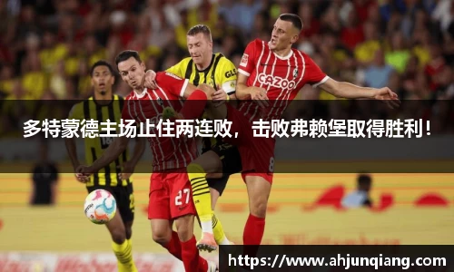 乐虎国际