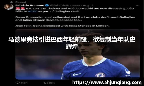 乐虎国际官网