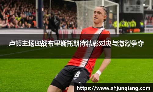 乐虎国际