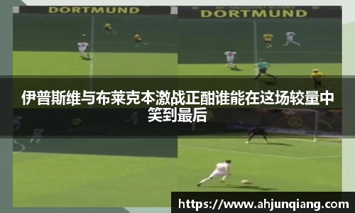 乐虎国际