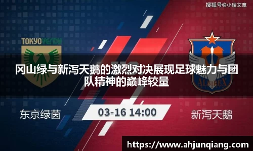 乐虎国际官网