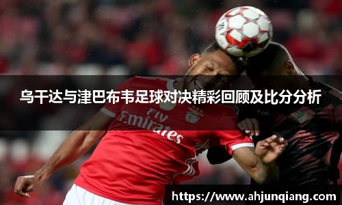 乐虎国际官网