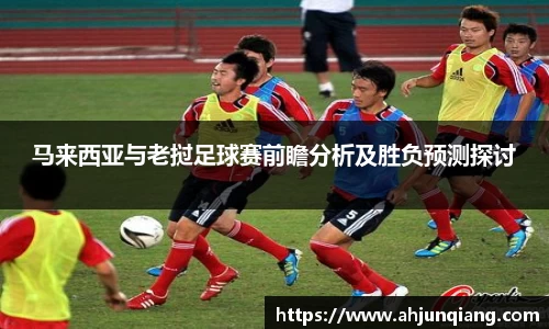 乐虎国际官网