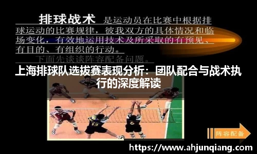 乐虎国际